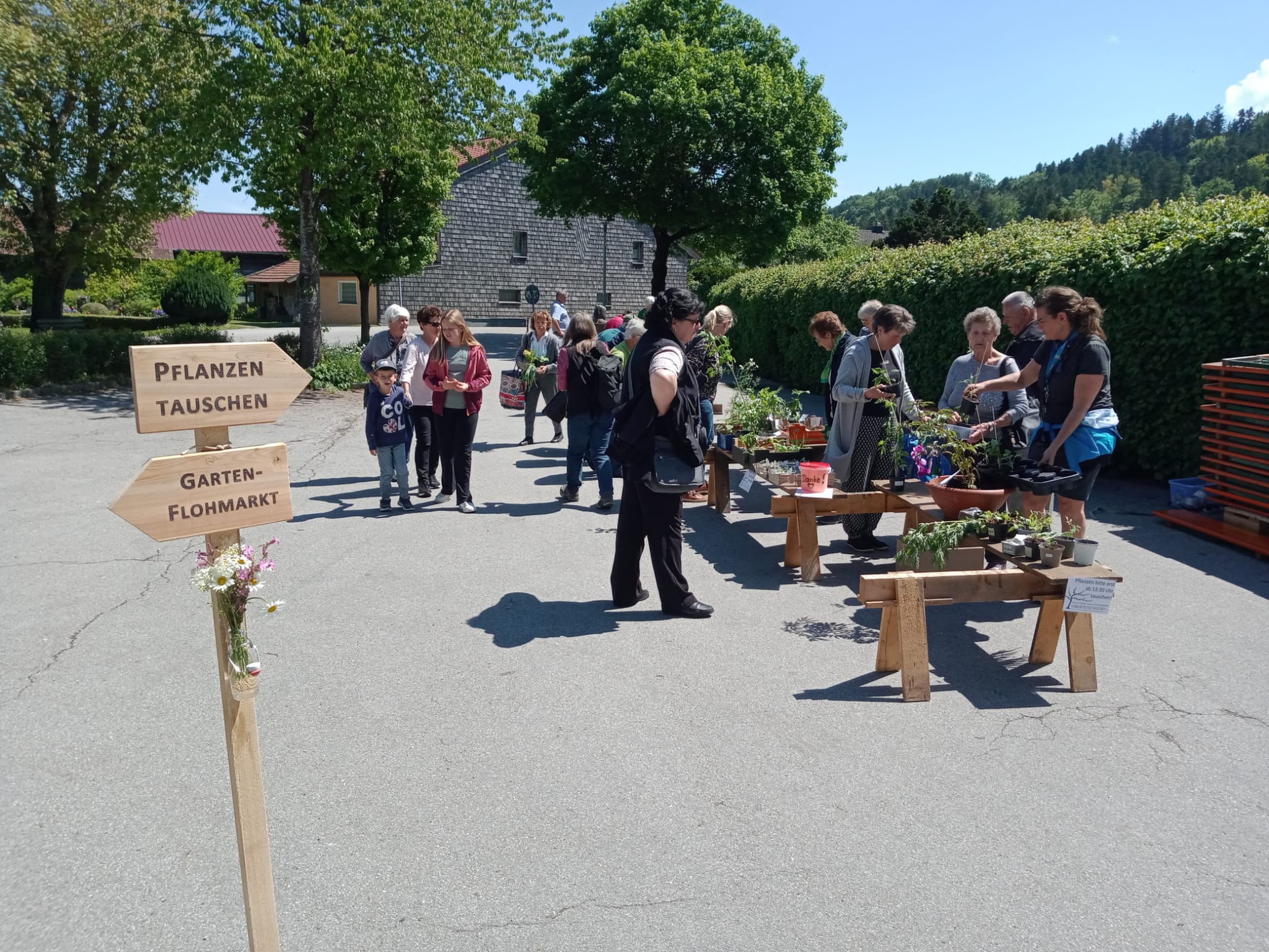 Zur Bildergalerie Bildergalerie