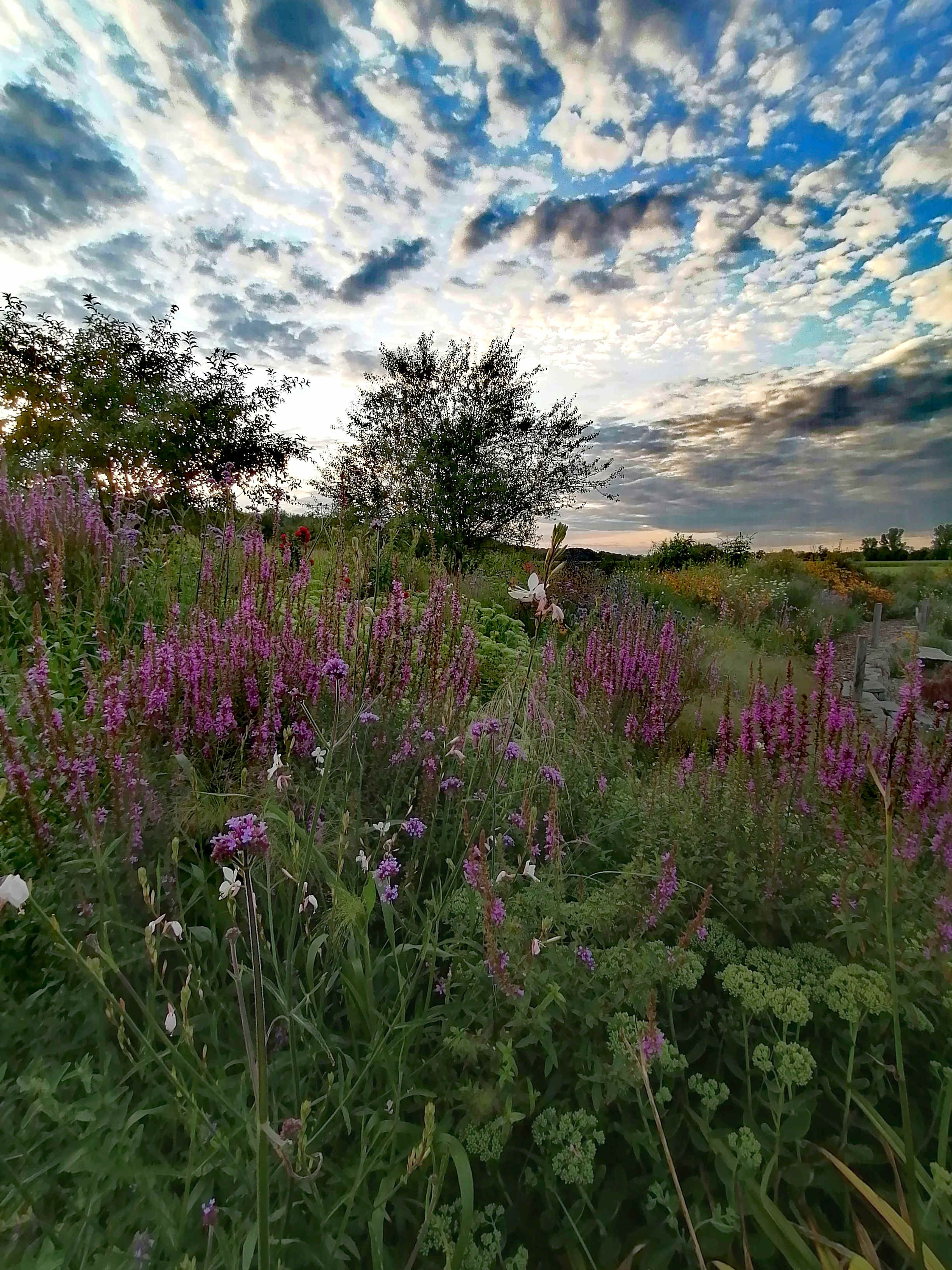 Gartenführung