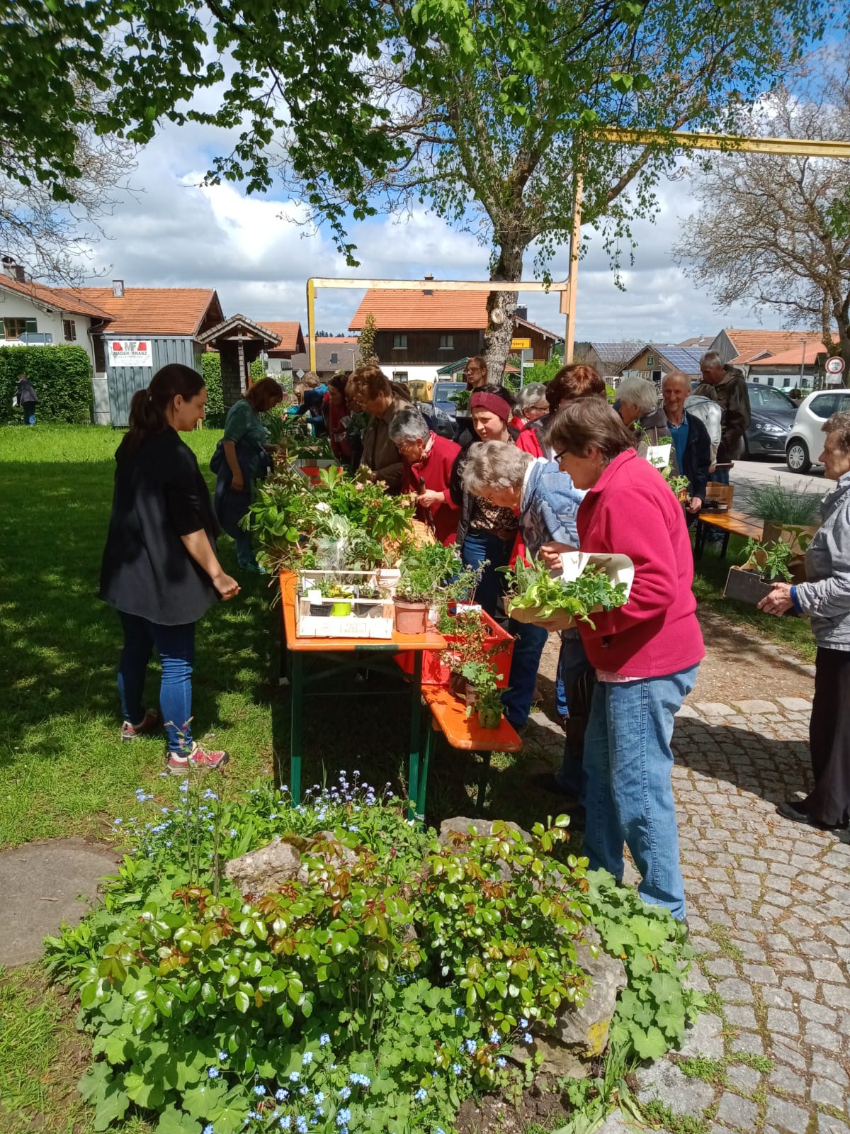 Zur Bildergalerie Bildergalerie